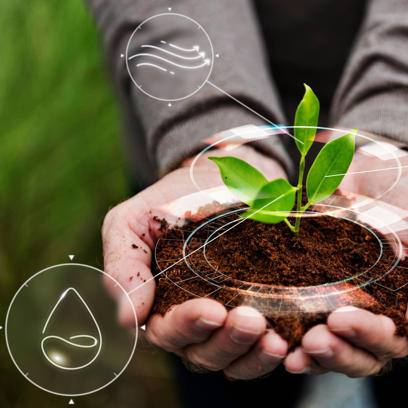 Manifestación impacto ambiental